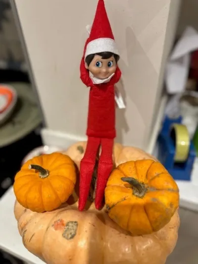 Elf on the Shelf Pumpkin