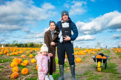 Pumpkin patch baby mums