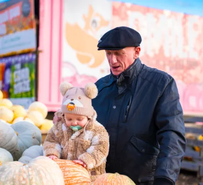 Hertfordshire pumpkin picking
