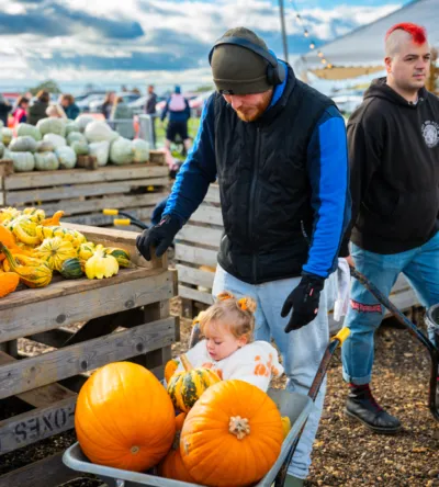 Essex pumpkin picking day out