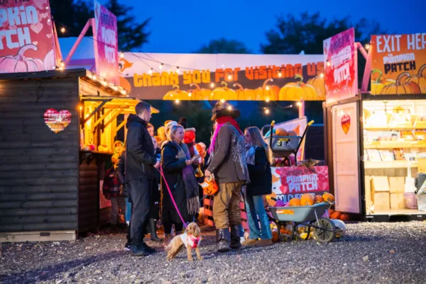Family dog pumpkin picking Essex