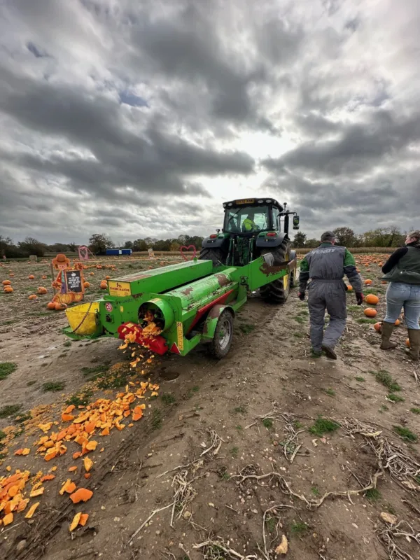 Seed growing pumpkin patch