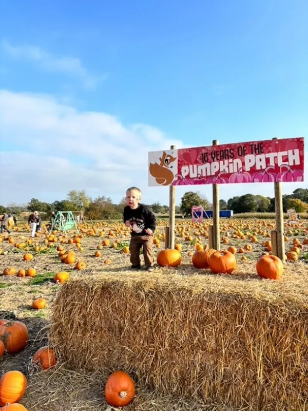 KellyBronze turkeys and Foxes Farm pumpkins