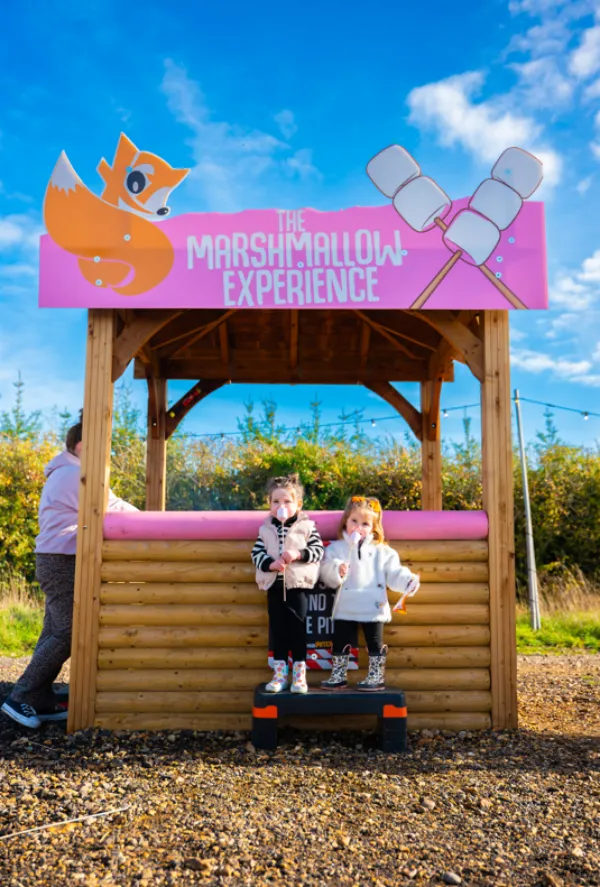 Marshmallows Christmas Pumpkins