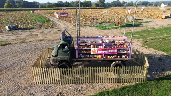 Pumpkin picking car park