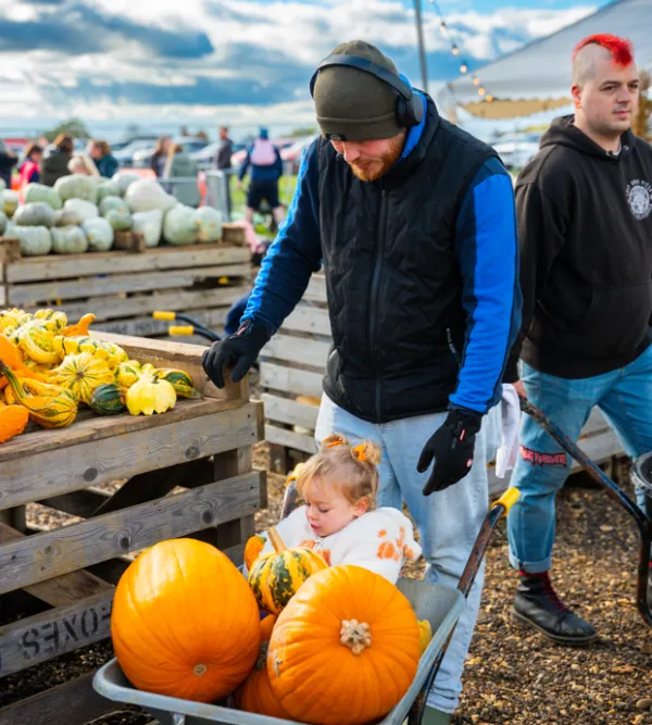 Essex pumpkin picking day out