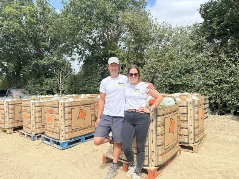 Colchester pumpkin supplier