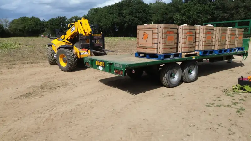 Maldon pumpkin supply wholesale