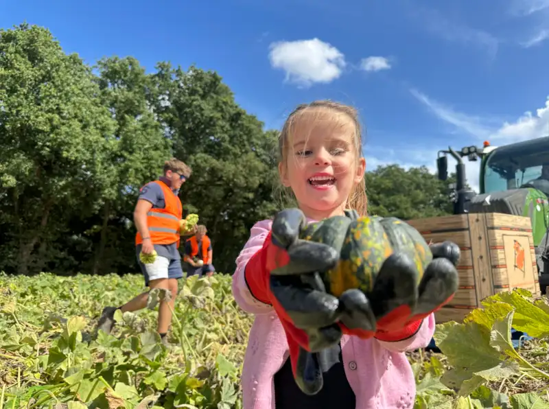 Takeley pumpkin farm