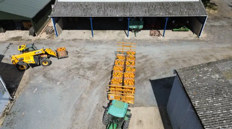 Bulk supplier pumpkins Yorkshire