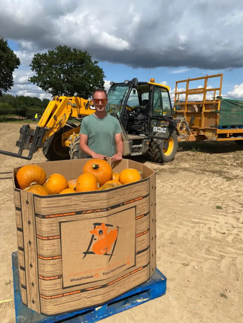 Home Counties pumpkin wholesaler