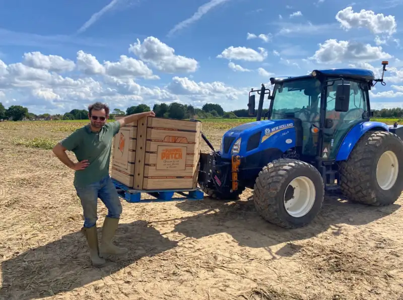 Wholesale pumpkins Royal Counties
