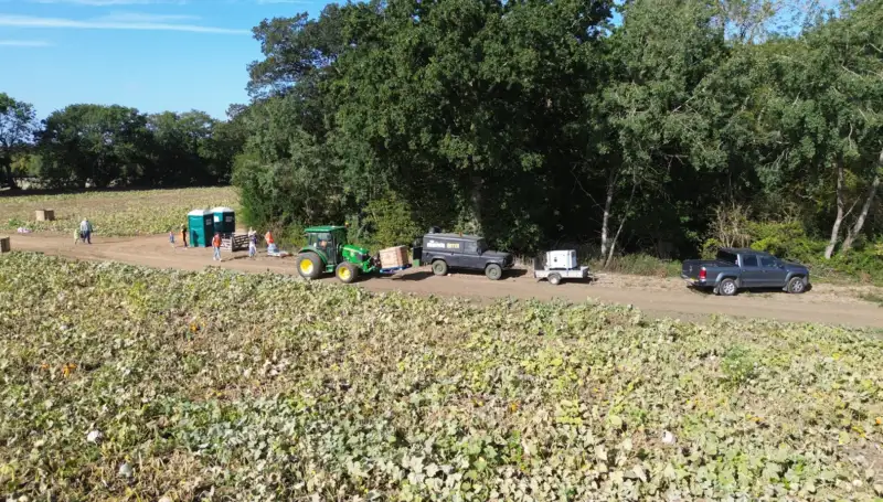 Staffordshire pumpkin supplier